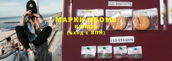 молекула духа Бородино