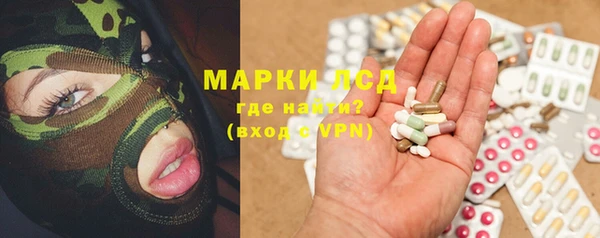 молекула духа Бородино