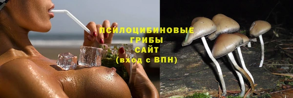 спиды Бугульма