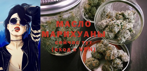 молекула духа Бородино