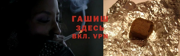 молекула духа Бородино