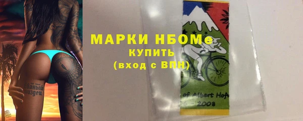молекула духа Бородино