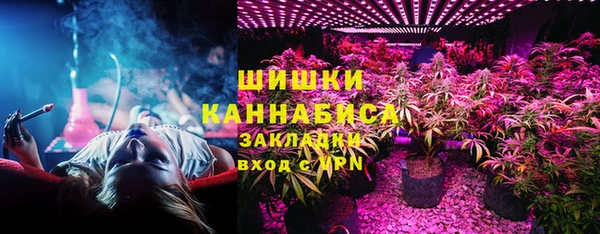МДПВ Бронницы
