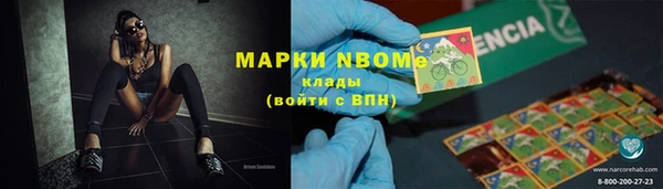 молекула духа Бородино