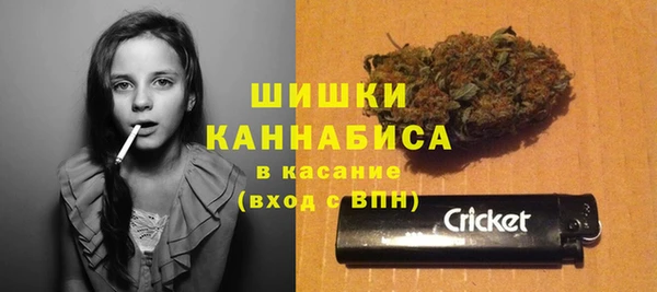 МДПВ Бронницы