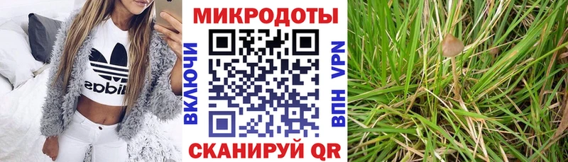 Галлюциногенные грибы мицелий  Купить где  Мураши 